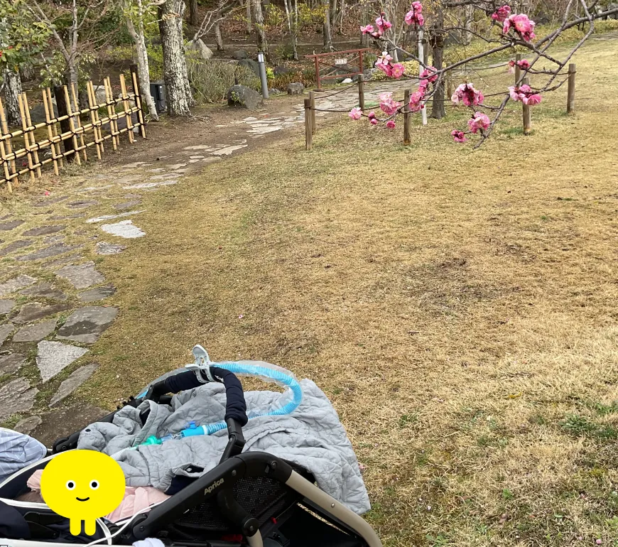 関西、兵庫県、神戸市北区にある重症心身障がい・医療的ケアに対応した児童発達支援施設「こどもデイ　はれいろ」の子どもたちとお花見に行った時の風景:その04