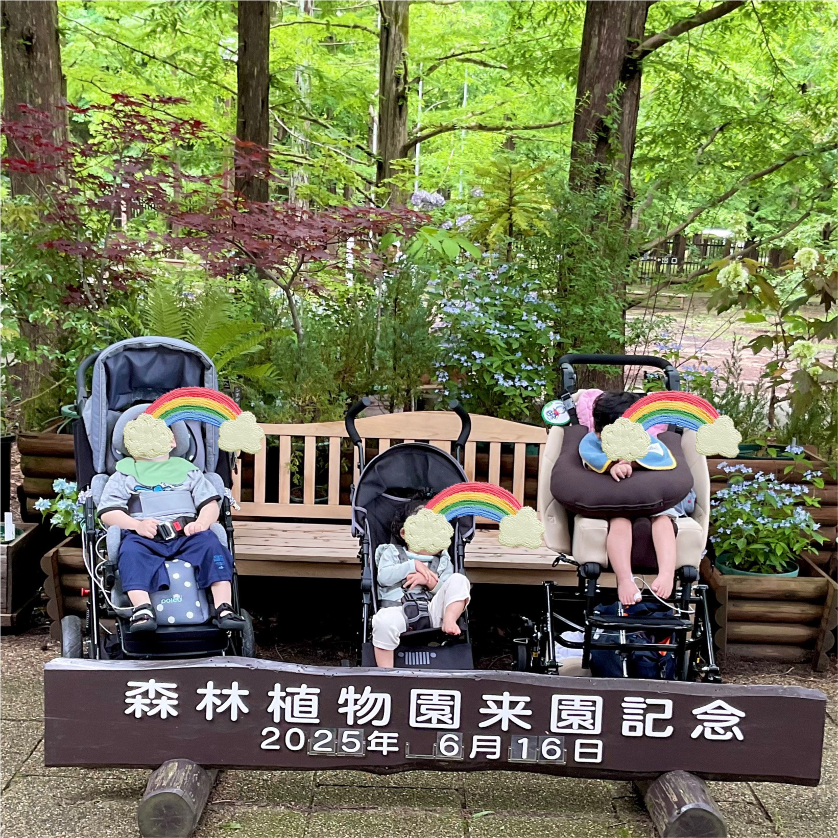 関西、兵庫県、神戸市北区にある重症心身障がい・医療的ケアに対応した児童発達支援施設「こどもデイ　はれいろ」では森林植物園にあじさいを見に行きました。