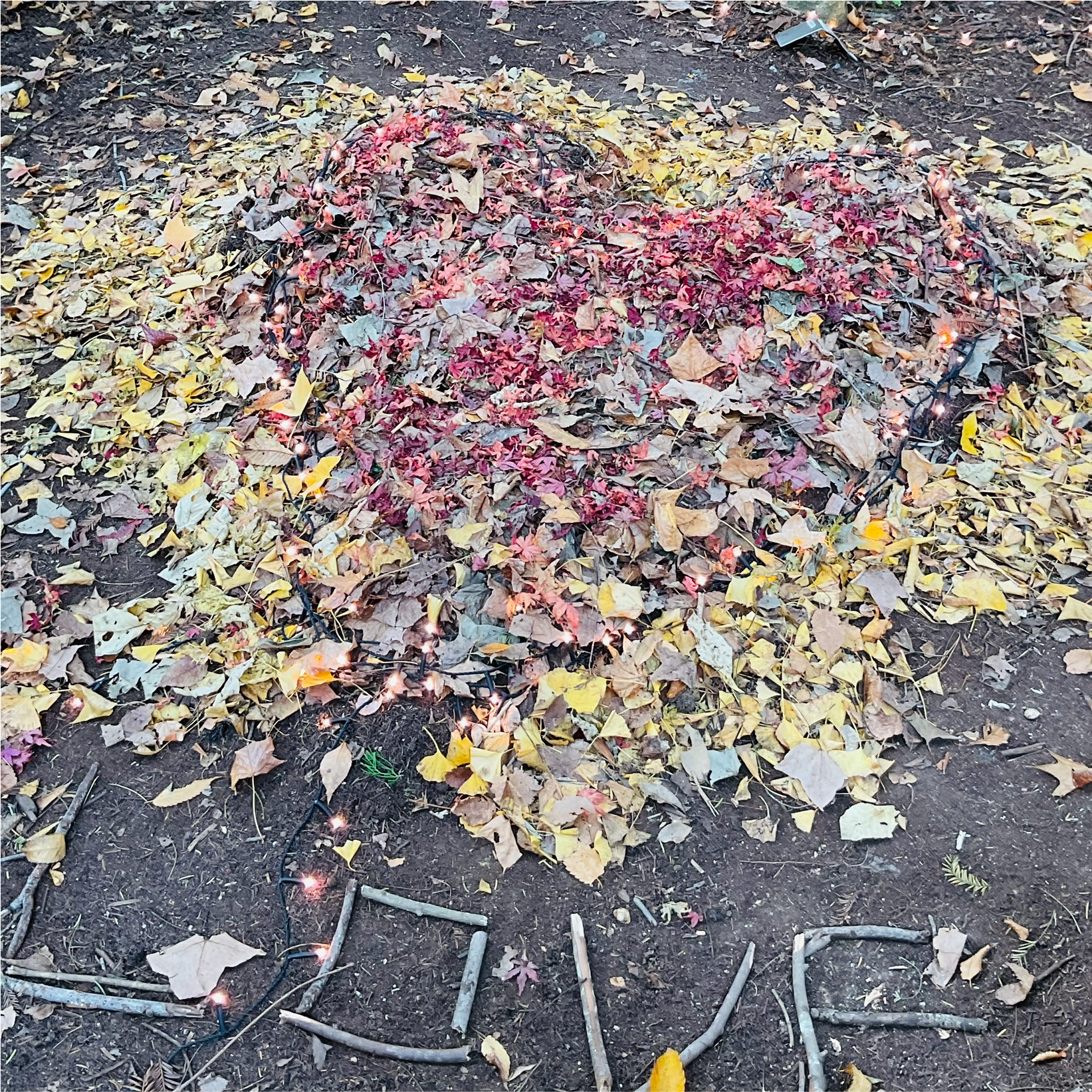 関西、兵庫県、神戸市北区にある重症心身障がい・医療的ケアに対応した児童発達支援施設「こどもデイ　はれいろ」です。涼しくなってきたので皆んなで森林植物園にお出かけしました！