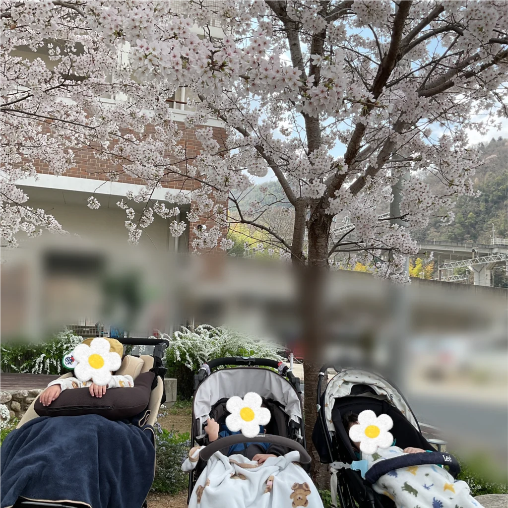 兵庫県神戸市北区の重症心身障がい・医療的ケアに対応した児童発達支援、居宅訪問型児童発達支援「こどもデイ　はれいろ」です。今年もお花見に行ってきました！