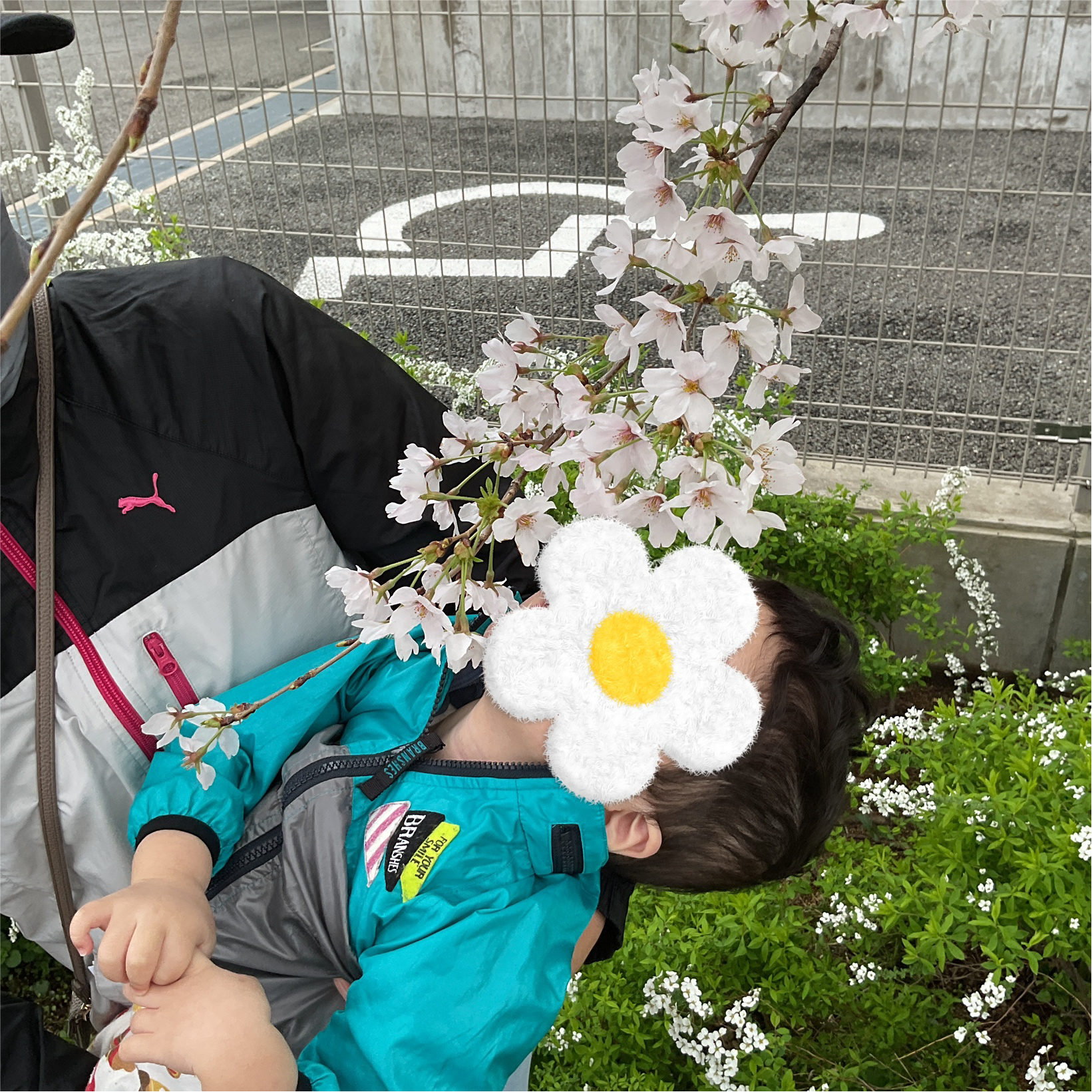 関西、兵庫県、神戸市北区にある重症心身障がい・医療的ケアに対応した児童発達支援施設、居宅訪問型児童発達支援「こどもデイ　はれいろ」です。お花見に行ってきました！