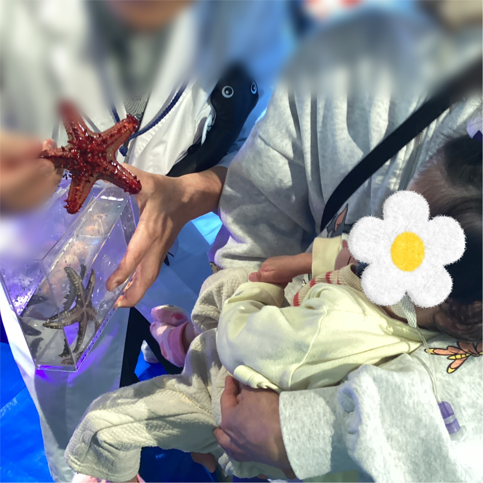 関西、兵庫県、神戸市北区にある重症心身障がい・医療的ケアに対応した児童発達支援施設、居宅訪問型児童発達支援「こどもデイ　はれいろ」です。出張水族館に行ってきました！