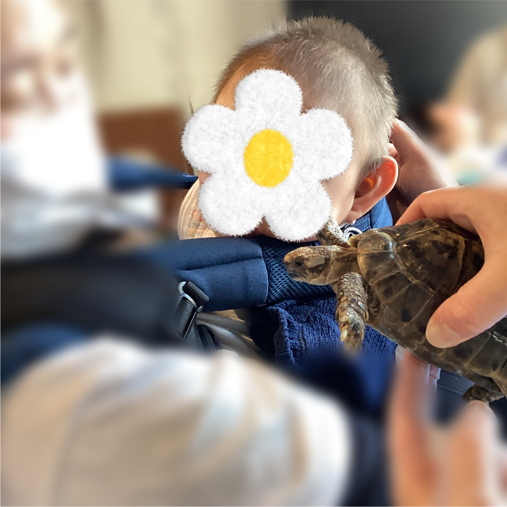 関西、兵庫県、神戸市北区にある重症心身障がい・医療的ケアに対応した児童発達支援施設、居宅訪問型児童発達支援「こどもデイ　はれいろ」です。出張水族館に行ってきました！