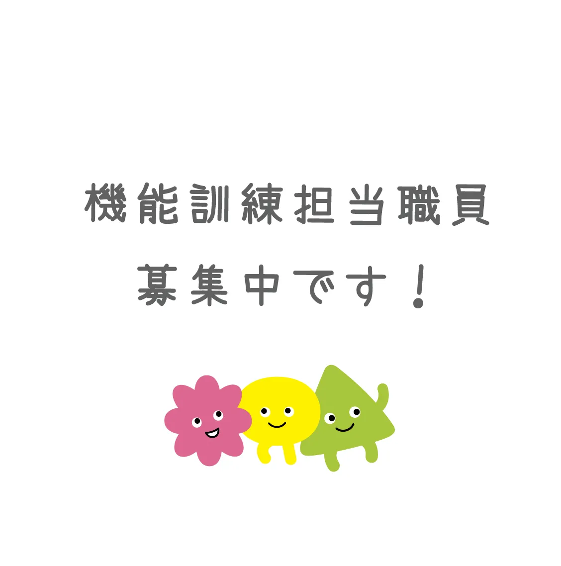 採用情報